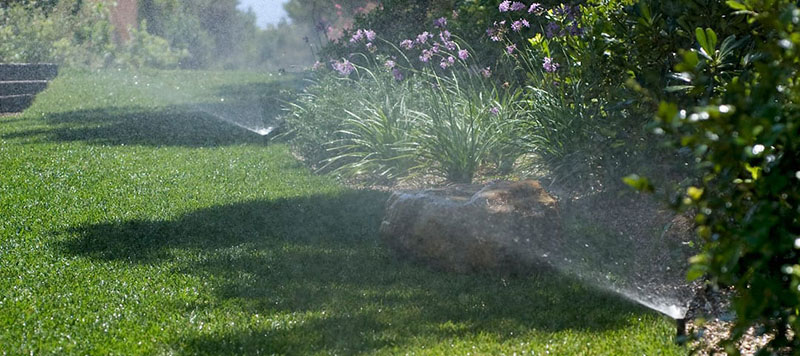 YOUR GARDEN HELLAS: Φωτογραφίες & Βίντεο