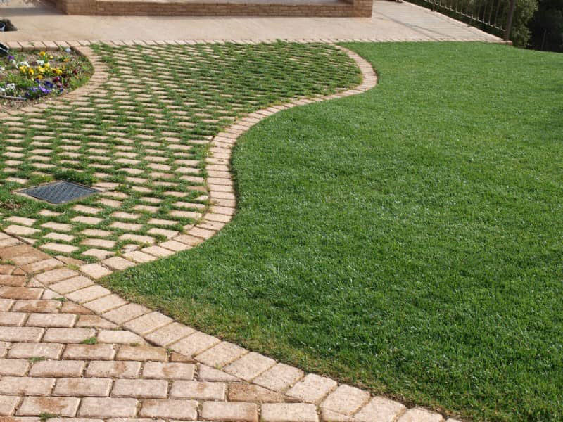 YOUR GARDEN HELLAS: Φωτογραφίες & Βίντεο