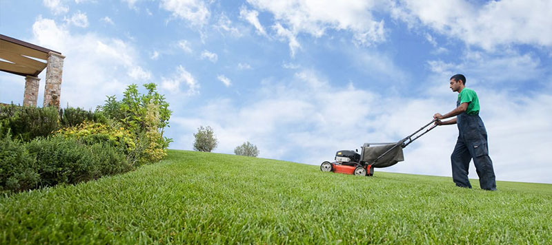 YOUR GARDEN HELLAS: Φωτογραφίες & Βίντεο
