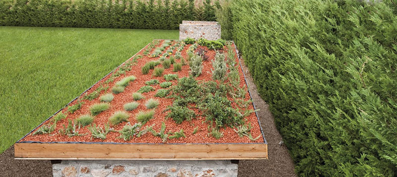 YOUR GARDEN HELLAS: Φωτογραφίες & Βίντεο