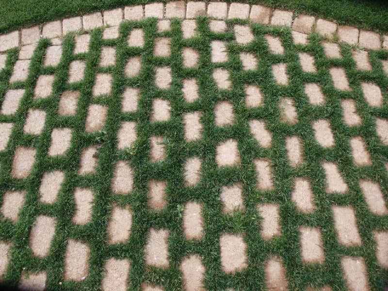 YOUR GARDEN HELLAS: Φωτογραφίες & Βίντεο