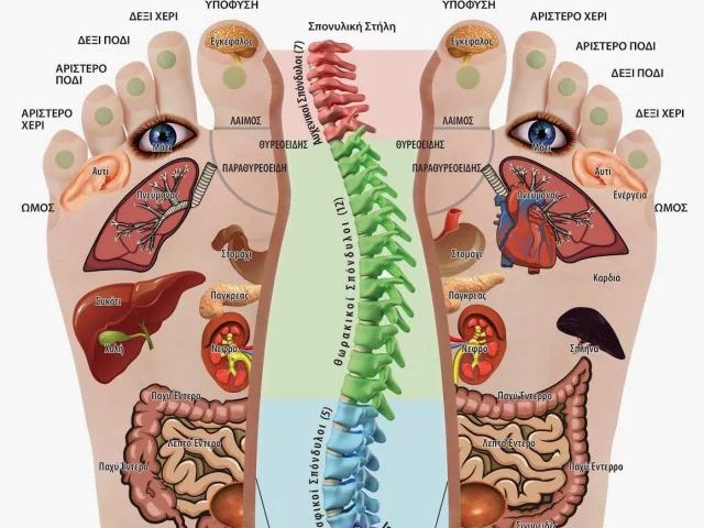 Reflexology chart