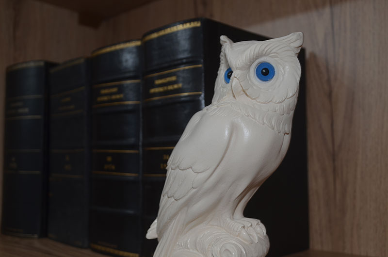 ZAFEIRI DIMITRA LLM: Φωτογραφίες & Βίντεο