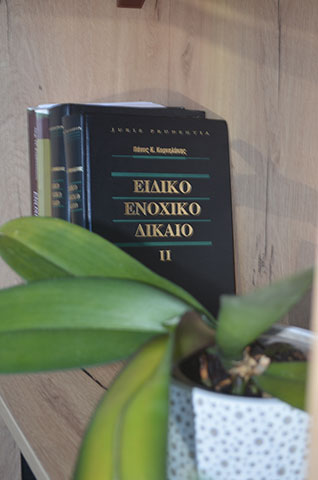 ZAFEIRI DIMITRA LLM: Φωτογραφίες & Βίντεο
