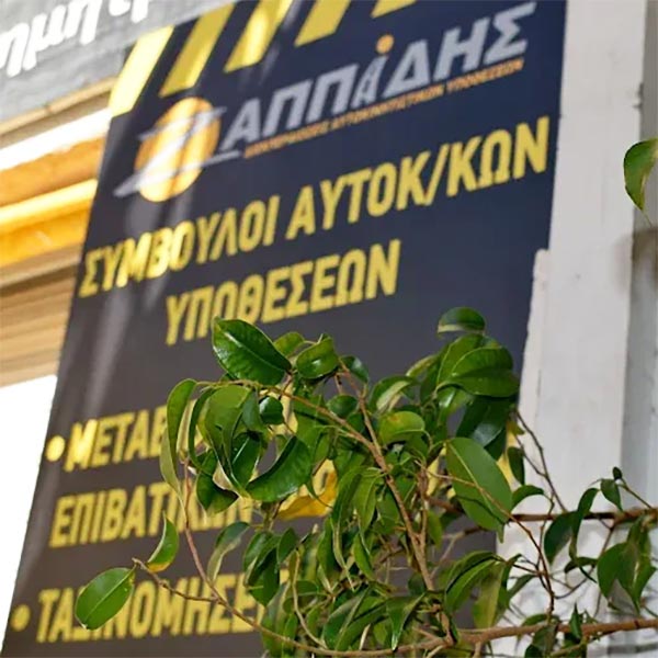 ZAPPIDIS: Φωτογραφίες & Βίντεο