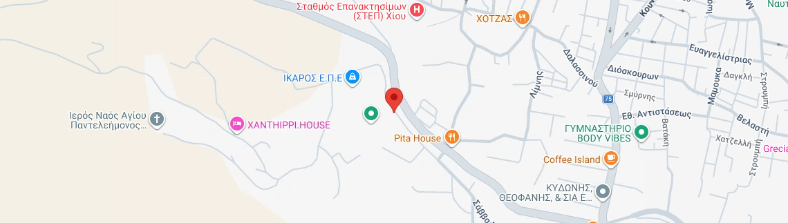 Λογότυπο ZENIODIS P. - PIKOUNIS G. TE. AE
