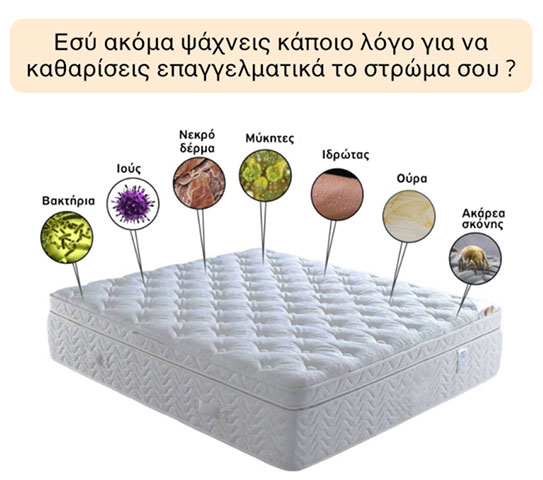 ZEUS CLEAN: Φωτογραφίες & Βίντεο