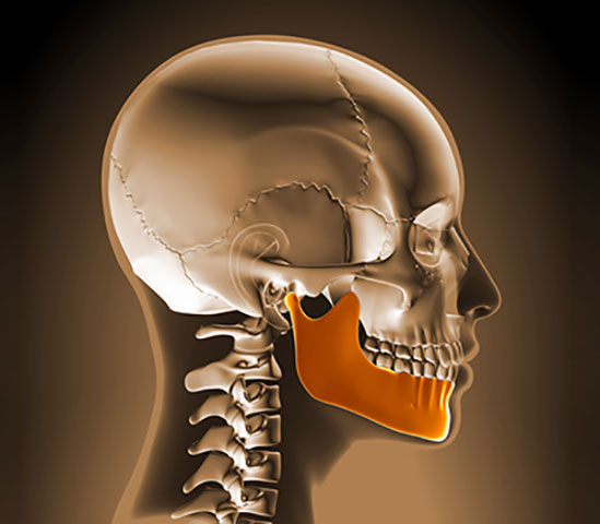 Tumors and Cysts in the Jaws