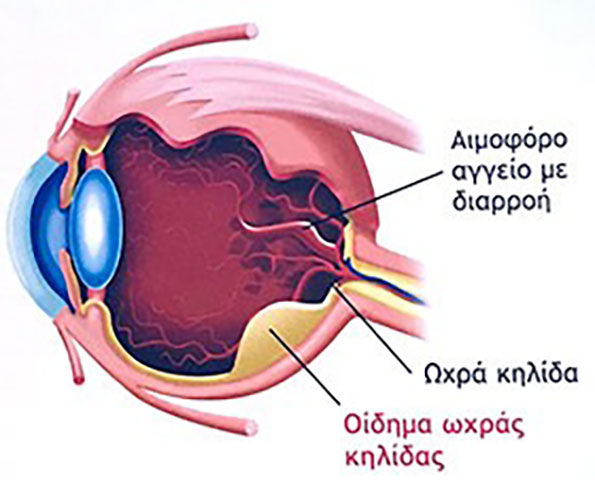 ΖΗΣΟΥΛΗΣ ΙΩΑΝΝΗΣ: Φωτογραφίες & Βίντεο