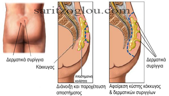ΖΩΓΡΑΦΙΣΤΟΣ ΝΙΚΟΛΑΟΣ MD: Φωτογραφίες & Βίντεο