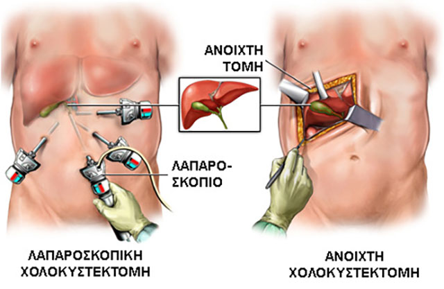 ΖΩΓΡΑΦΙΣΤΟΣ ΝΙΚΟΛΑΟΣ MD: Φωτογραφίες & Βίντεο