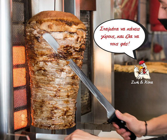 ZOI KAI KOTA: Φωτογραφίες & Βίντεο