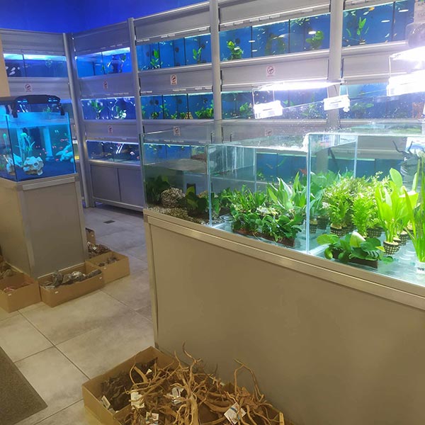 ZOO CENTER: Φωτογραφίες & Βίντεο