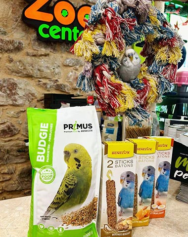 ZOO CENTER: Φωτογραφίες & Βίντεο