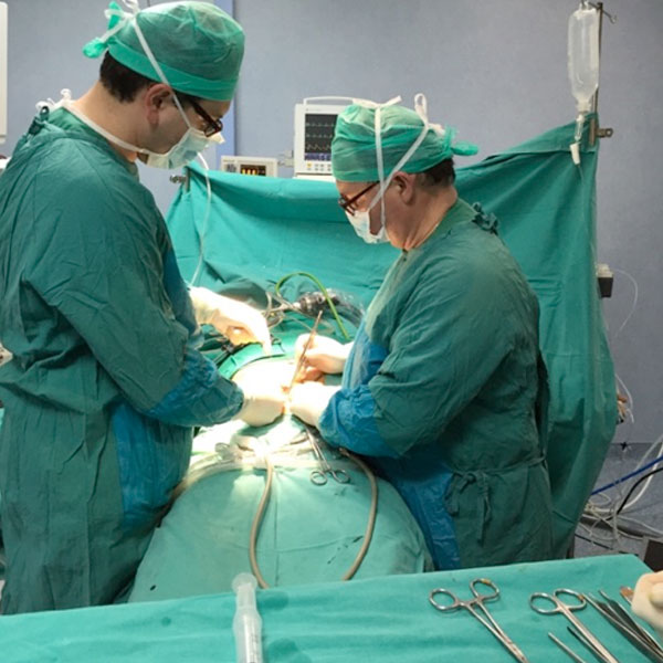 ZOURIDAKIS P. IOANNIS MD, MSc: Φωτογραφίες & Βίντεο