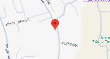 Χάρτης και σημείο της επιχείρησης