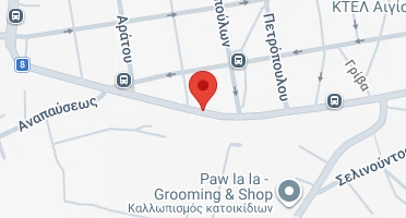 Χάρτης και σημείο της επιχείρησης