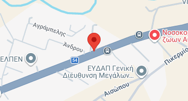 Χάρτης και σημείο της επιχείρησης