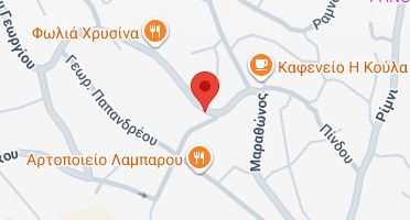 Χάρτης και σημείο της επιχείρησης